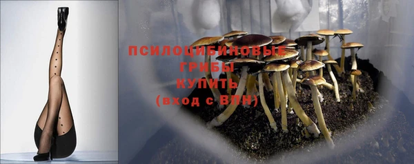 прущий лед Няндома