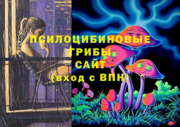 гашик Нязепетровск