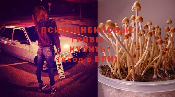 гашик Нязепетровск