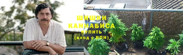 гашик Нязепетровск