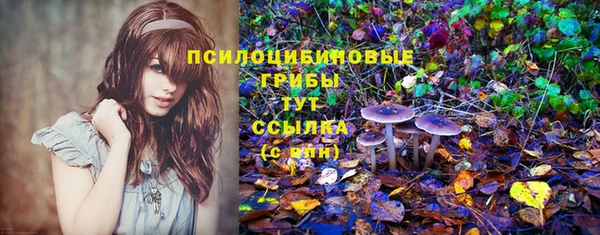 прущий лед Няндома