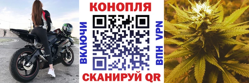 Купить закладки  Заполярный  Бошки марихуана THC 21% 